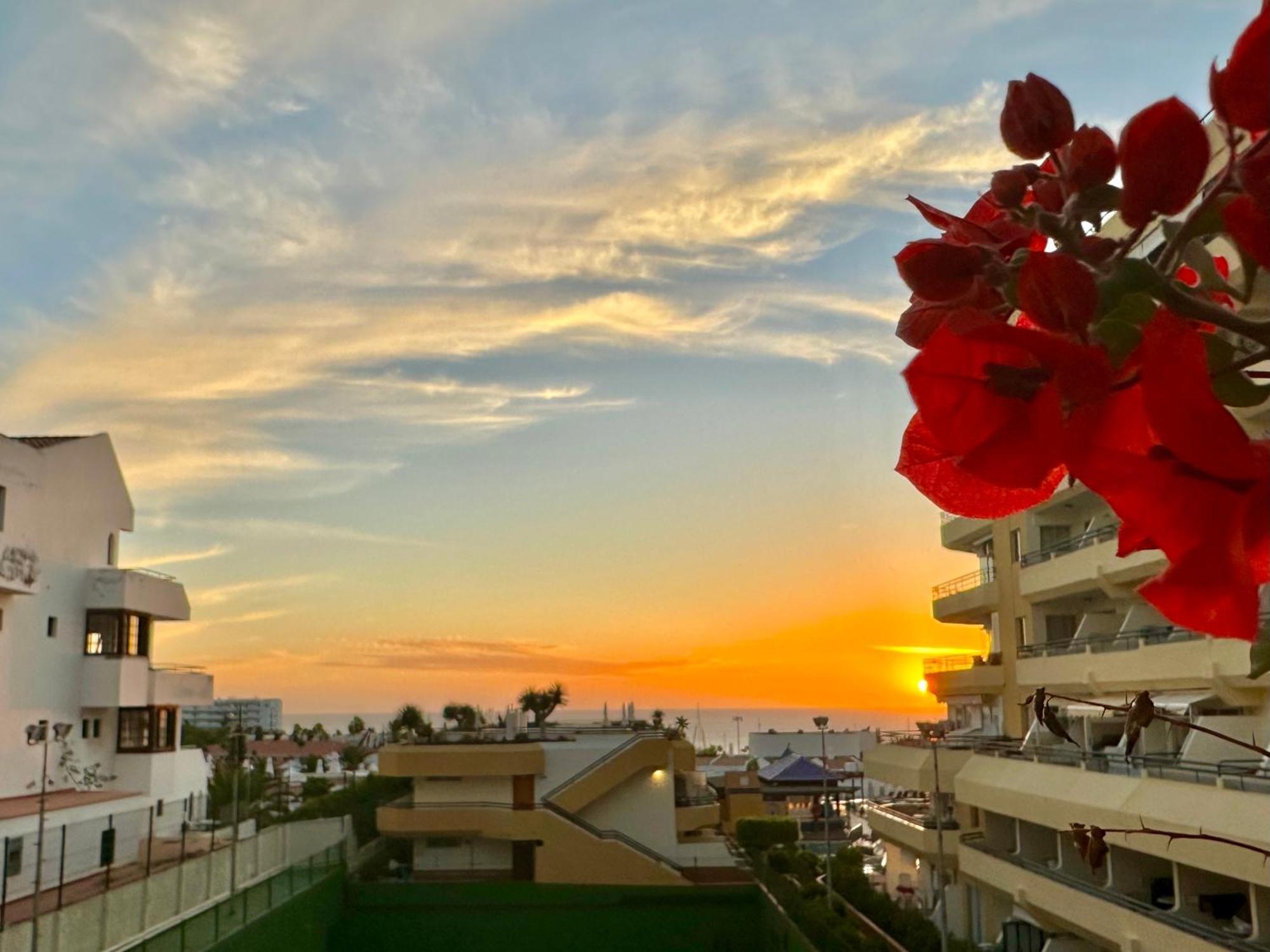 Apartment In Ocean Park, Costa Adeje, Tenerife Extérieur photo
