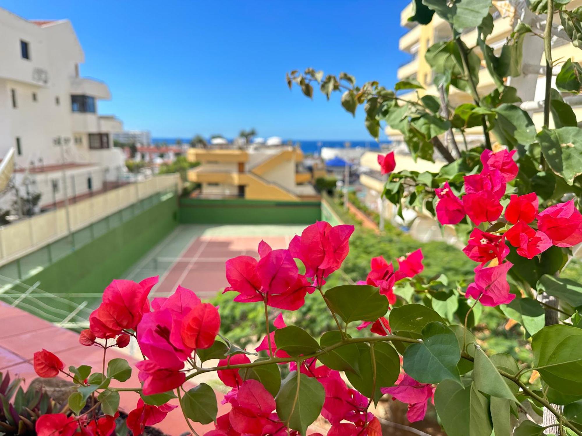 Apartment In Ocean Park, Costa Adeje, Tenerife Extérieur photo